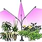 semai Pflanzenlampe LED 30W Pflanzenlicht Pflanzenleuchte Wachstumslampe Wachsen licht Grow Lampe Vollspektrum für…