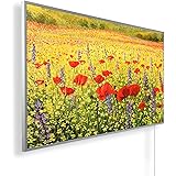 Könighaus Riscaldamento a infrarossi da 600 W con immagine in qualità HD, con termostato, TÜV/GS + 5 anni di garanzia, doppia