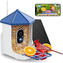 Solareye: Nutrimento per uccelli con telecamera, visione notturna ...