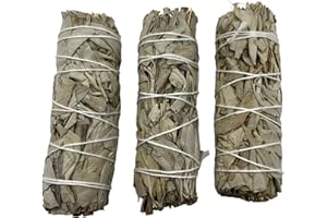 HOSTENATURA 3 Atados Salvia Blanca de California | Ecológico y Sostenible | 100% Original | Purificación, Limpieza Energética y Armonía | 10cm | 3 Unidades
