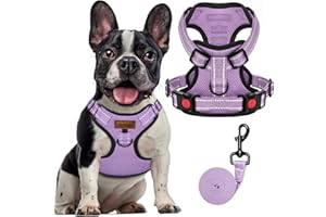 FAYOGOO Dog Harness, No-Pull Pet Harness Set for Small Medium Large Dogs Walking, No Choke Front Clip Dog Reflective Harness, Adjustable Soft Padded Pet Vest with Easy Control Handle(Purple,M)