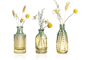 JOEYAN Piccoli Vasi in Vetro Set di 3 - Vasi Monofiore Vintage - Mini Vaso di Fiori Colore per Decorazioni Casa, Tavolo da Pranzo, Feste