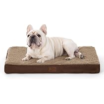 Erhöhtes Hundebett Aus Holz – Orthopädisch & Waschbar Für Kleine & Mittlere Hunde Oder Katzen