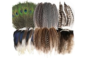 MWOOT 48 Piezas Plumas Naturales, 6 Estilos Plumas de Pavo Real Plumas de Cola de Faisán Plumas de Pavo para DIY Manualidades, Plumas Decorativas para Mascarada de Carnaval Boda Fiesta