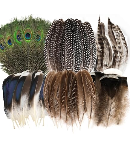 50 Plumes D'Oie Naturelles Blanc 8-12cm - Pour Déco, Attrape-Rêves, Mariage, DIY | Loisirs Créatifs
