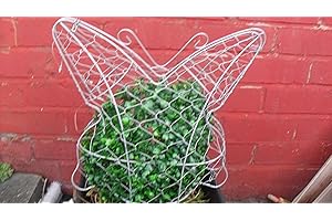 SHIMMERS TOPIAY BUTTERFLY FRAME {FOR SHAPING BUXUS PLANTS}