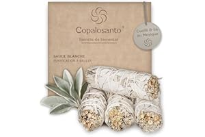 COPALOSANTO 4 Unita di Salvia Bianca Da Bruciare Per Purificazione E Meditazione Idee Regalo Donna Originale Utile Set Aromaterapia Relax Casa Con Incenso Naturale Non Tossico Oggetti Decorativi Spiritualita