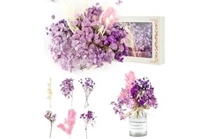 HOCUCHELAND Trockenblumen Klein, Trockenblumen zum Basteln mit 6 Arten von Blumen, Natürliche Getrocknete Blumen Gemischte, Trockenblumen Deko Dried Flowers für Kunst Basteln, Scrapbooking, DIY-Kerze Harz