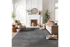RUGURA Alfombra de Salón Dormitorio Habitación Comedor Pelo Corto y Suave Grande 150x220 cm Gris Antracita Unicolor Moderna Nordica Lavable Antideslizante