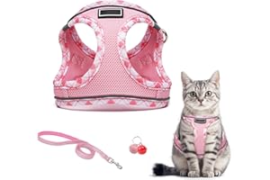FREESKILL Katzengeschirr mit Leine Ausbruchsicher - Katzengeschirr Kitten, Verstellbares Welpen- & Katzengeschirr mit Reflektoren, Katzenleine mit Geschirr für Katzen, Perfekt für Kleine Hunde