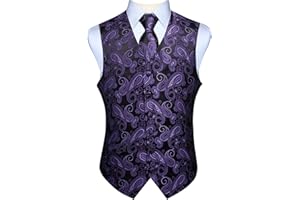 HISDERN Hommes Classique Paisley Floral Jacquard Gilet & Cravate et Gilet de Poche Gilet Ensemble