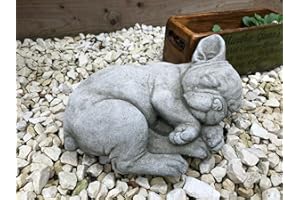 SPARTA Statue de chien bouledogue français en pierre reconstituée | Décoration de jardin en béton