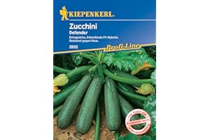 Kiepenkerl Profi-Line Zucchinisamen Defender, F1 2852 - Ertragreich - Resistent - Frühreif - Inhalt für 6 Korn - Gemüsesamen, Samen Gemüse, Saatgut
