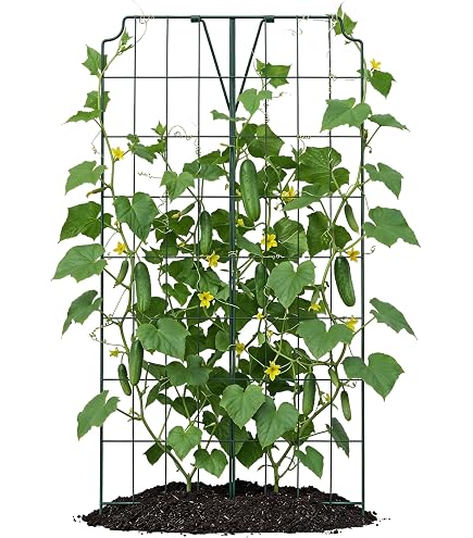 Rankgitter-Set zum selber bauen - 25 Bambusstbe +50 Klammern : Amazon.de:  Garten
