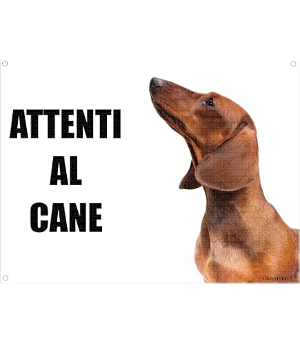 Targa in metallo con scritta in lingua inglese Beware Of Dog Yorkie Warning in alluminio per recinzione, cortile, casa, cucina, fattoria, giardino, decorazione da parete, 20,3 x 30,5 cm