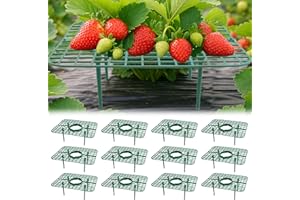 AONYIYI 12 unidades cuadradas para fresas y fresas