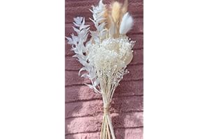 VELAFEE Sweet Dried Flowers Bouquet for Room Decor Cake Decor - 10 Stems - 1 Dried Palm Leave 3 Natural Bunny Tails 4 White Bunny Tails 1 Ruscus 1 White Million Star