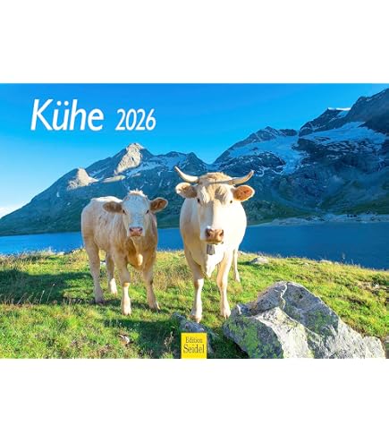 Edition Seidel Calendrier mural 2025 de qualité supérieure Format A3