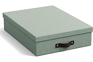 ‎BIGSO BOX OF SWEDEN BIGSO OSKAR Dokumentenbox A4 – Aufbewahrungsbox mit Deckel und Griff – Schreibtischablage für Papier, Broschüren & Dokumente – Regal Aufbewahrungsbox aus Faserplatte und Papier – mintgrün