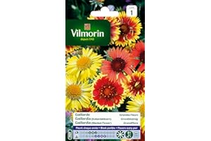 Vilmorin 5271241 Gaillarde variée à grande fleur Multicolore 9 x 0,5 x 16 cm