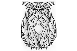 keluly Decoración de metal. Escultura de pared flotante, con sombras, de acero. (43 x 31 cm., Buho)