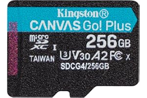 Kingston Canvas Go Plus microSDXC minneskort Gen4 200 MB/s A2 U3 V30 enpack utan ADP-kort endast-SDCG4/256GBSP