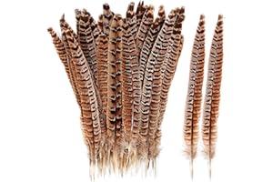 PAITOK Piume per artigianato, 20 piume di fagiano naturali, 25 ~ 30 cm, piume di fagiano marrone per fai da te acchiappasogni, cappelli per capelli, decorazioni per feste di Natale