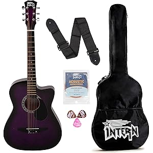 Intern INT-38C-VT-G 38 Incheses Cutaway Right Handed lindenwood Acoustic Guitar Kit, With Bag, Strings, Pick And Strap (Violet, 6-Strings)