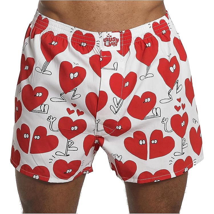 dPois Boxershorts voor heren, glanzend, slip, onderbroek met mesh