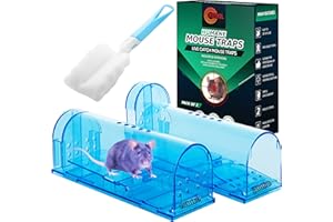 RatKil Humane Mouse Traps - 2 x Live See Through Rat & Mouse Traps For Indoors & Outdoors | Reusable, Child & Pet Friendly, Safe Alternative to Rat Poisoning, Mouse Poison & Mouse Traps That Kill