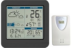 TFA Dostmann Stazione meteo con sensore esterno, radio SKY, 35.1152.01, radio, previsioni del tempo, orologio radio, per interni ed esterni