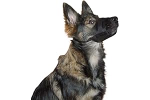 KERBL PET Kerbl Chien Muselière Nylon 17-22 cm Noir