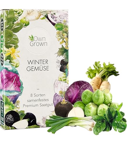 Rosenkohl Jungpflanzen 12er Set - Frisch Aus Der Gärtnerei