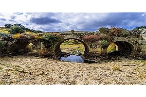 MIRRORANG 120x61cm Fond de terrarium du désert Pont de Pierre Ciel Bleu Fond d'habitat de Reptiles d'eau Fond de Vinyle Durable