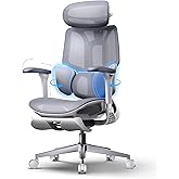 Hbada E3 Air 2026 Edition Ergonomic Office Chair with Lumbar Support 3 Zones, Headrest and 4D Arms, Automatic Weight Adjustme