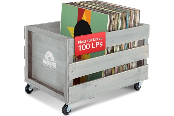 Stagecaptain SPK-100 GY caisse à disques Emil grise