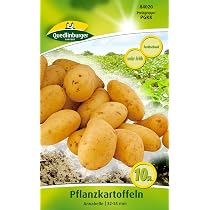 Pflanzkartoffeln Laura, 2,5 kg (ca. 35 Stck) vorwiegend festkochend,  Premium Saatkartoffeln, mittelfrh reifend, gelbfleischig, lange lagerfhig  : Amazon.de: Garten