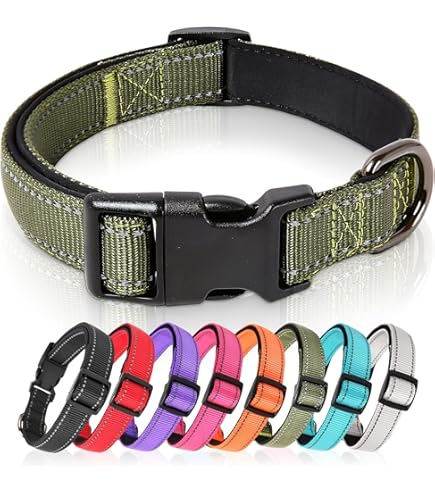 YENTEN Hunde-Halsband Mit AirTag-Halter - Reflektierend & Wasserdicht Für Kleine & Mittlere Hunde