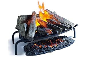 Dimplex 204554 Cheminée Electrique avec Télécommande, 220 V, Noir