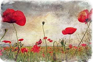 Poppies - Glass Worktop Saver/Protector - by Pearl Glass (Style 1, 60 x 40cm Extra Large)