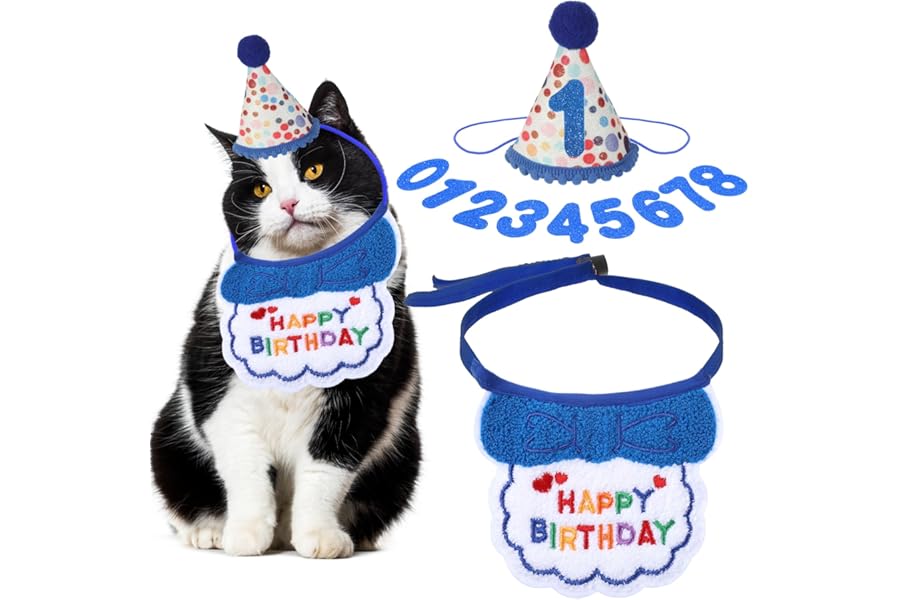 DOPENSPI Cat Birthday Party Supplies, Blue Cat Birthday Hat with Number and Collar Cute Kitten Bandana Party Decorations Outfits for 0-8 years Kitten