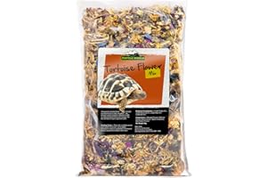 Reptile World Tortoise Flower Mix 60g | Natural Forage for Tortoises, Bearded Dragons, Iguanas, Marigold, Rose