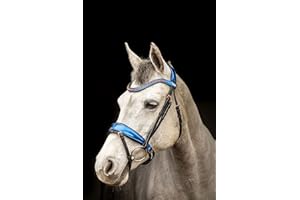 Equipride Briglia anatomica con brevetto grigio metallizzato con redini antiscivolo in edizione limitata, colore: nero/blu