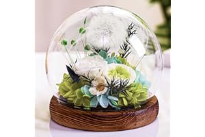 TOULOUBE Idee Regalo di la Festa Della Mamma Di Tarassaco In Un Bicchiere per Donne, Regali Di Compleanno per Amiche, Insegnanti, Mamme, Nonne, Regali che Esaudiscono I Desideri, Incoraggiamento per Lei