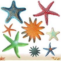 Estrellas Mar Colores Brillantes Juguetes De Buceo Para Niños - 4 Estrellas De Mar De Colores Para Piscina, Playa O Bañera Juguetes Agua Bañera Playa