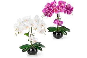 PASCH Zestaw 2 sztucznych orchidei w doniczkach w błyszczących garnkach ceramicznych (40 cm)