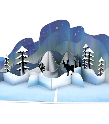 Wee Blue Coo Grußkarte „Nordlichter“ – Hochwertige Geburtstagskarte Mit Winterlandschaft, 12,5 X 17,5 Cm