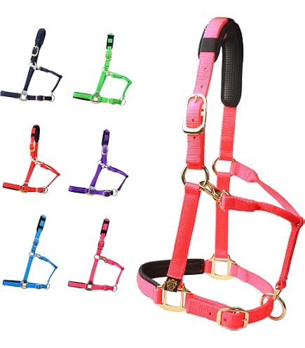 Licol Equipride En Nylon Doublé – Motif Cheval, Bleu Marine, Avec Longe Assortie – Taille Shetland