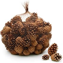 NaDeco Zapfen zum Basteln 1 kg, ca. 150 Stück, 3-5 cm, Waldkiefer