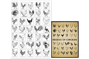 GLOBLELAND Farm Chicken Clear Stamps for Card Making Decorative Breed of Chicken Rooster Hen Transparent Silicone Stamps for DIY Scrapbooking Supplies Embossing Paper Card Album Decoration Craft
